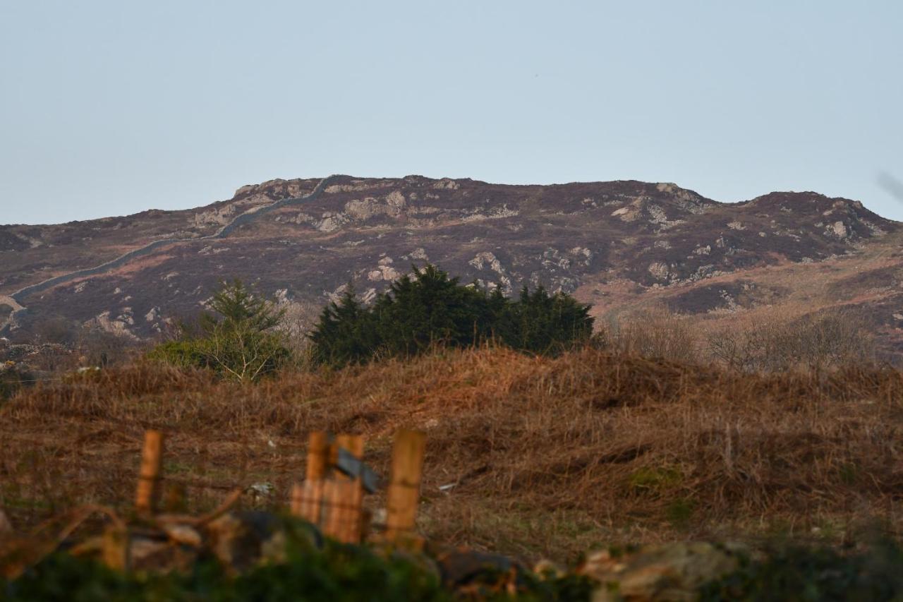 Spacious Garden Flat In Snowdonia National Park Brynkir Εξωτερικό φωτογραφία
